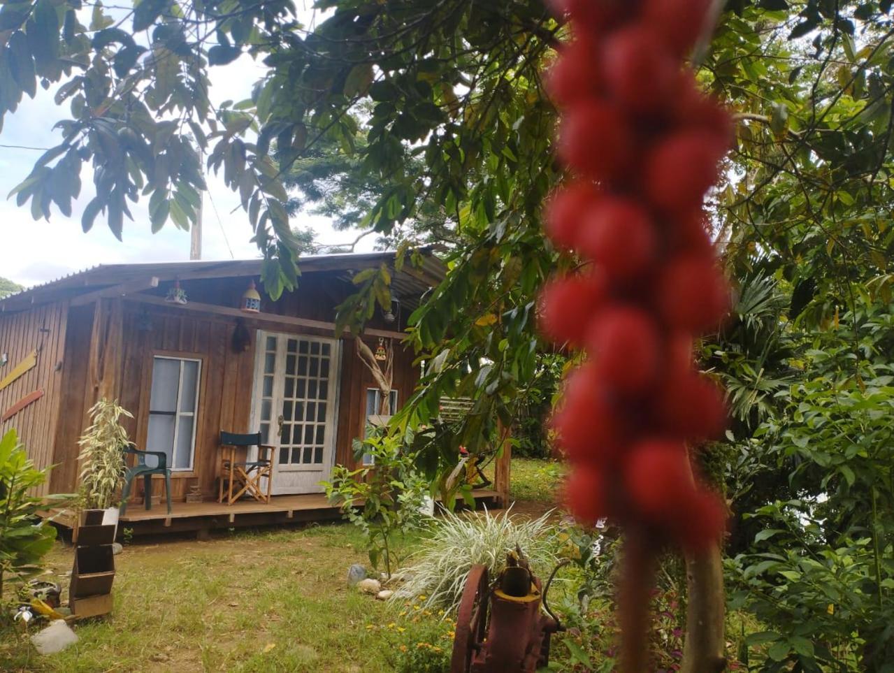 Hostal La Cabana Hotel Mesetas Kültér fotó